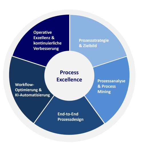 Kreisdiagramm zur Process Excellence mit den Säulen Prozessstrategie, Prozessanalyse, End-to-End Design, Workflow-Optimierung und Operative Exzellenz.